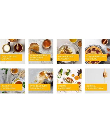 Miel d'eucalyptus du Maroc 300g 100% Naturel R colt dans la R gion de Souss Massa Draa un miel Rare et unique - Buy Online on GoSupps.com