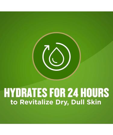 Gold Bond Restoring Skin Therapy Lotion 13 oz. with Green Tea & Vitamin C - Hydrating and Nourishing Formula - Buy Online on GoSupps.com