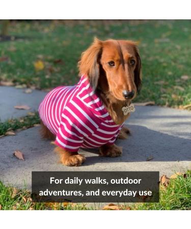 DJANGO Small Boysenberry Dog Hoodie & Soft Sweater with Leash Portal - Buy Online on GoSupps.com