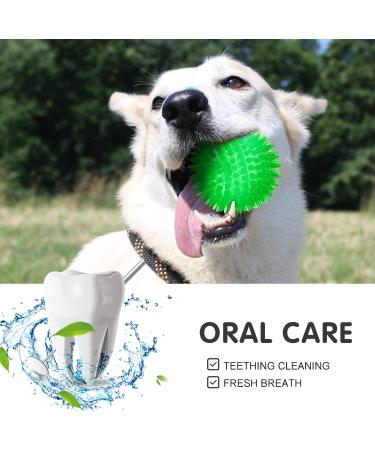 Buy Squeaky Rubber Balls for Dogs - 3-Piece Set in Bright Colors | Durable TPR Puppy Toys | Ideal Dental Pet Toys for Medium Dogs - Buy Online on GoSupps.com
