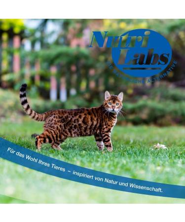 Nutrilabs Felurit Powder for Cats 100g - Premium Cat Dietary Supplements with Glucosamine D-Mannose & Cranberry Concentrate for Optimal Cat Health - Buy Online on GoSupps.com