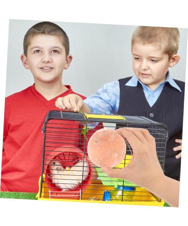 GREENADSCAPE Pet Saline Licking Salt Small Pets Lick Salt Hamster Salt Mineral Block Salt Brick Mineral Saline - Buy Online on GoSupps.com