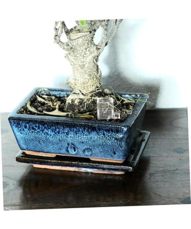 Parliky Pet Water Feeder Small Ants Feeder Ants Drinking Bowls Transparent Ants Feeding Cup Plastic - Buy Online on GoSupps.com