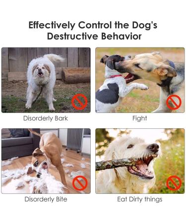 Nasjac Soft Muzzle for Medium & Small Dogs - Adjustable Anti-Bark Solution | Prevent Chewing Biting - Ideal for Safe International Shipping - Buy Online on GoSupps.com