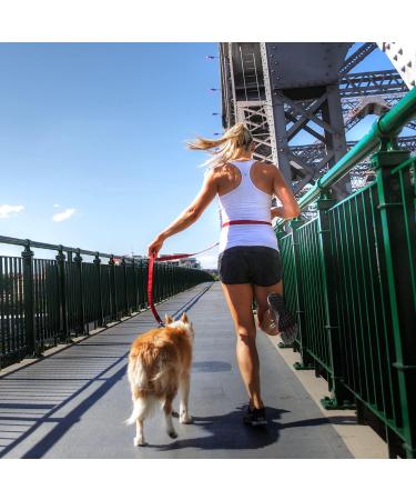 Ezydog Jogging Leash for Small & Medium Dogs - Reflective & Elastic Bungee - 210cm Red | Perfect Running Gear for Dog Owners - Buy Online on GoSupps.com