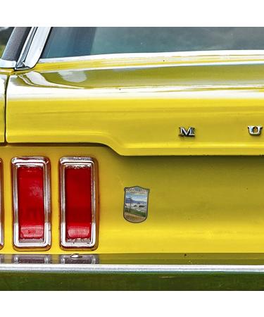 Die Cut Sticker: Cannon Beach Oregon Coast View - Waterproof Vinyl Decal (1-3 inches) for Cars, Water Bottles, Laptops - Small Size - Buy Online on GoSupps.com