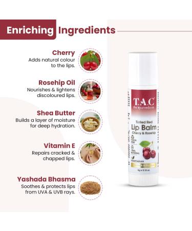 Buy Tinted Cherry & Rosehip Vegan Lip Balm SPF 20 - Moisturizing for Dark Dry Lips with Vitamin E & Shea Butter - Unisex All Skin Types - 5gm - Buy Online on GoSupps.com