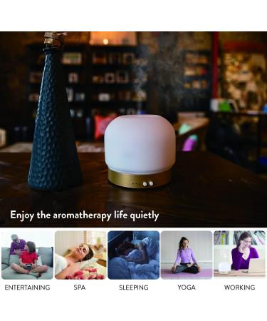Essential Oil Diffuser for Large Rooms - 280ml Aromatherapy with Glass Cover 4 Timers Auto Shut-Off & Adjustable Lights - Buy Online on GoSupps.com