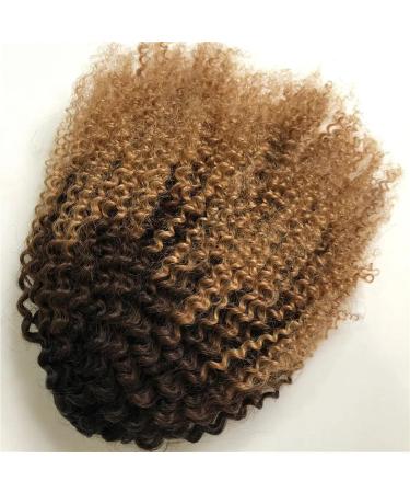 Human Hair Ponytail Hair Piece Drawstring Ponytail Human Hair Ponytail Extensions Fluffy Kinky Curly Ponytail Brazilian Remy Hair Clip in Afro Curly Ponytail Hairpiece Ponytail Hairpiece for Women ( 10inch T1B/4/27 - Buy Online on GoSupps.com