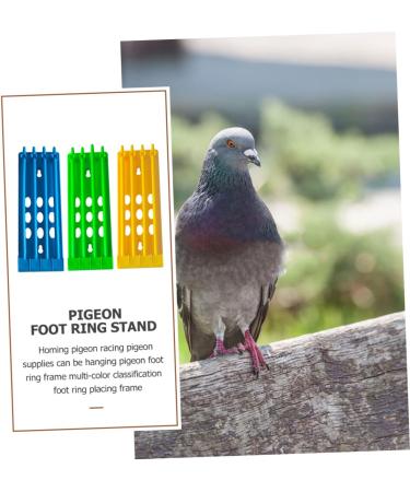 Angoily 6 Pcs Pigeon Ring Stand Training Band Holder Bird Ring Holder Chicks Foot Rings Stand Place Holder Chicken Labels Pigeon Leg Ring Organizer Racing Pigeon Ring Multicolor Plastic 20x7cmx2pcs As Shownx2pcs - Buy Online on GoSupps.com