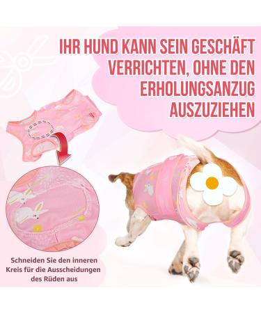 Buy Eyein Dogebody After Op Soft Breathable One-Piece for Dogs | Wound Protection with Zipper & Belt | Light Pink (S) - Ideal E-Neck Band Alternative - Buy Online on GoSupps.com