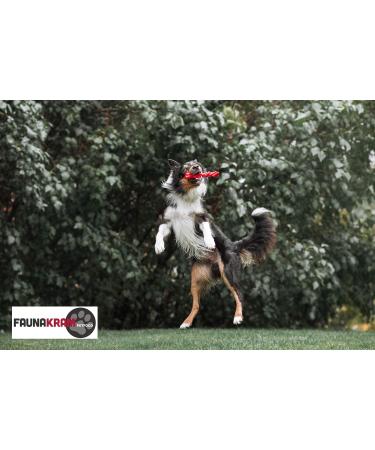 Faunakram - 12 kg. Adult Grain Free Chicken and fish 28-13- (10102) Chicken 12 kg (Pack of 1) - Buy Online on GoSupps.com