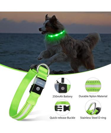 Masbrill LED Dog Collar - Luminous Waterproof Safety Collar with 3 Flashing Lights for Small Medium & Large Dogs (Adjustable 28-40cm/11-15.7in) - Green - Buy Online on GoSupps.com