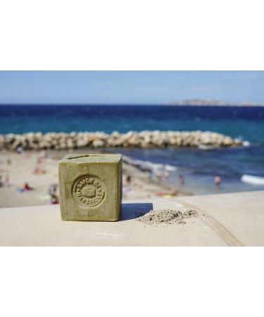 Maitre savon de Marseille - l'huile d'olive - 200g COSMOS ORGANIC 200 g (Lot de 1) - Buy Online on GoSupps.com