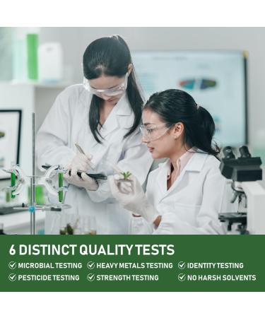 GlowEver KSM-66 Ashwagandha Supplements with L-Theanine Moringa Organic Mushrooms Complex Ginseng Ginkgo Biloba - Mood & Energy Support, Cortisol Manager, Immune Support, 60 Vegan Capsules - Buy Online on GoSupps.com