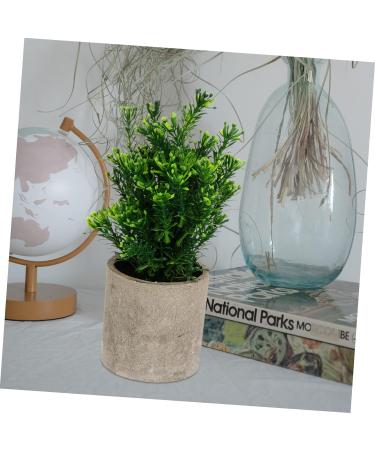 Ciieeo 4 Pcs Simulated Potted Plant Plastic Plant Pots Fake Eucalyptus Plant Tiny Fake Plants Fake Green Plant Simulation Plant Fake Plant Decor Pulp Potted Plants Rosemary Green Plants As Shownx4pcs 21.5x8cmx4pcs - Buy Online on GoSupps.com
