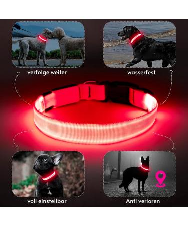 Koskill Luminous LED Dog Collar - Waterproof & Adjustable for Medium/Large Dogs - USB Rechargeable - Super Bright Rosa - Buy Online on GoSupps.com