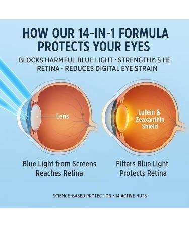 Evervision 14 in 1 Advanced Eye Formula Eye Vitamin and Mineral Supplement with Zinc Lutein Zeaxanthin & Bilberry Extract 60 Capsules (1) - Buy Online on GoSupps.com