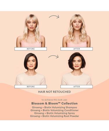 Briogeo Blossom & Bloom Volumizing Shampoo | Ginseng + Biotin Formula for Fine, Thin Hair | Vegan, Phalate & Paraben-Free | 8oz - Buy Online on GoSupps.com