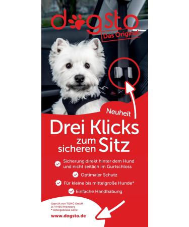 Dogsto dog safety belt for every car with central attachment to the seat belt - Ideal sitting position - Buy Online on GoSupps.com