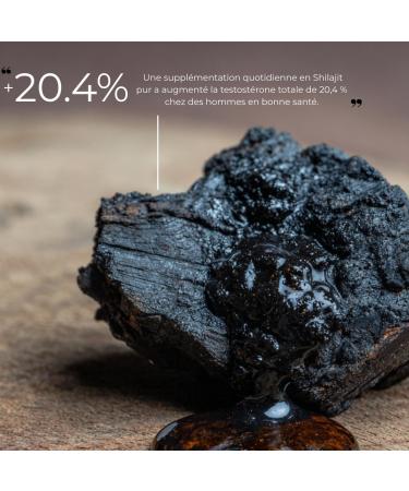 R sine de Shilajit de l'Himalaya - Seul vrai Shilajit en France - Buy Online on GoSupps.com