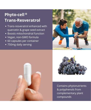 High Purity 750mg Trans Resveratrol with Quercetin & Grape Seed Extract - 60 Vegan Capsules | Wellology - Buy Online on GoSupps.com