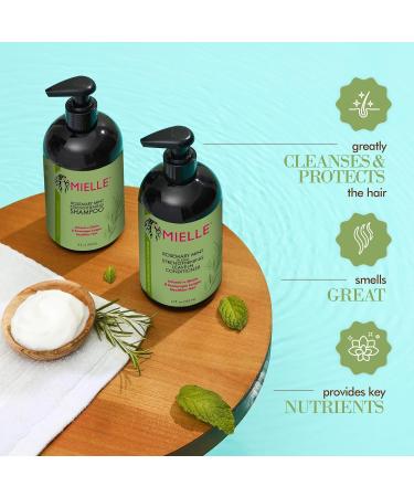 Mielle Biotin Infused Rosemary Mint Fortifying Shampoo Cleanses & Helps Strengthen Weak Brittle Hair 12 oz (Pack of 2) - Buy Online on GoSupps.com