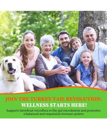 Liposomal Turkey Tail Mushroom Capsules High Absorption Organic Turkey Tail Mushroom Extract 2000MG| 30:1 Fruiting Body| Supplement for Digestive Health Energy & Immune Support Non-GMO -90 Capsules - Buy Online on GoSupps.com