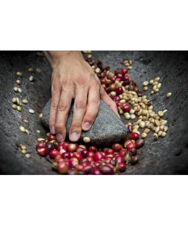 1Kg Bag Green Coffee Beans Rich in Taste Perfect Aroma| A Gift For Loved Ones For Home Roasting| Sidamo Coffee Beans From Ethiopia| - Buy Online on GoSupps.com