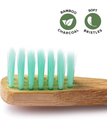Hello Kitty Bamboo Children's Toothbrush (2-Pack) - Eco-Friendly Gentle on Gums 100% BPA-Free - Buy Online on GoSupps.com