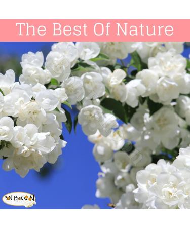 Pure & Natural Jasmine Oil - Cold Pressed Non-GMO Halal | 1 oz El Hawag for Body Hair & Skin - Buy Online on GoSupps.com