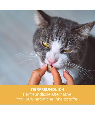 Buy Sensipharm Urologist AID - Bladder Formula for Pets | 90 Tablets for Cats Dogs Guinea Pigs & Rabbits | Kidney Stones & Bladder Infection Relief - Buy Online on GoSupps.com