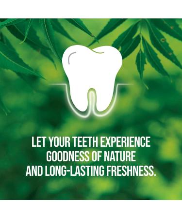 Kajal Neem Active Toothpaste 200g - With Natural Antibacterial Protection for Strong Teeth and Healthy Gums - Pure Vegetarian Alcium Strengthens Mint and Refreshes Mint (1) - Buy Online on GoSupps.com