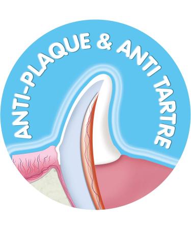 BEAPHAR - Dental Sticks for Large Dogs ( 10 kg) - Low Calorie Treats with Brown Algae and Green Tea - Fresh Breath - Eliminates Plaque and Tartar - 7 units - Buy Online on GoSupps.com