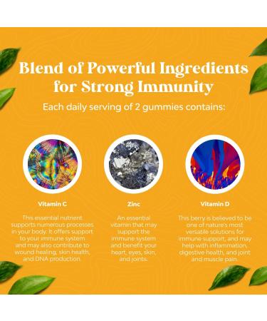 Immunity Boosting Halal Black Elderberry Gummies with Zinc and Vitamin C for Adults - Antioxidant Supplement for Joint Support - Buy Online on GoSupps.com