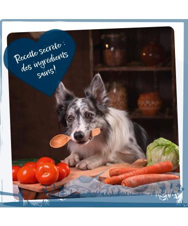 Wild Animal Senior Premium Dry Dog Food for Senior Dogs Turkey with Sweet Potato and Cranberry Grain Free Pack of 1 (1 x 6 kg) - Buy Online on GoSupps.com