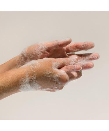 ATTITUDE Hand Soap 16 Fl Oz | EWG Verified, Vegan & Cruelty-Free | Plant-Based Ingredients | Refillable Aluminum Bottle | Petitgrain & Jasmine - Buy Online on GoSupps.com