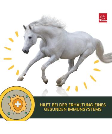 Linseed Oil Horses Dogs Cats I Barf Oil I Linseed Oil Horse Oil Omega 3 I Fatty Acids 3 6 I Cold Pressed 100% Coat Shiny Skin - Buy Online on GoSupps.com