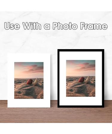 Golden State Art 11x14 White Picture Mats - Pack of 25, Acid-Free, Bevel Cut for 8x10 Photo, with Backing and Bags (25 Pack) - Buy Online on GoSupps.com