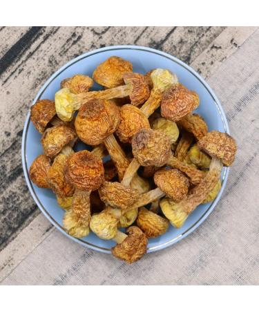 Zercumm Yunnan Agaricus Blazei 500G (17.6Oz) Dry Goods Brazil Mushroom Edible Fungus Mushroom Bulk Tricholoma Matsutake - Buy Online on GoSupps.com