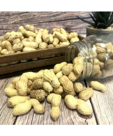 *Special* Peanuts in Shells 200g Premium Safe Wild Bird Food Monkey Nuts Afflotoxin Free Peanut 200 g (Pack of 1) - Buy Online on GoSupps.com
