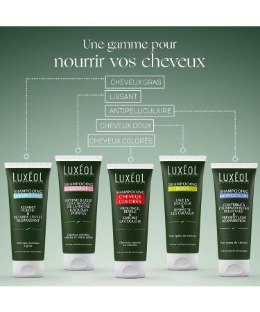 LUX OL - Shampooing Doux - Nettoie En Douceur & Assouplit - Soin Cheveux Nourris & Faciles Coiffer - Tous Types De Cheveux - 91% D'Ingr dients D'Origine Naturelle - Fabriqu En France - 200ml SHAMPOING DOUX - 200 ML - Buy Online on GoSupps.com