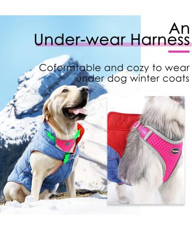 Thinkpet No-Pull Dog Harness & Leash Set - Breathable Adjustable & Reflective Safety Harness for Small Medium & Large Dogs | Soft Comfortable & Safe - Pink/Red (1 Pack) - Buy Online on GoSupps.com
