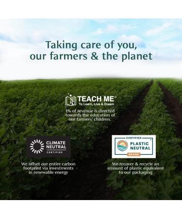 VAHDAM Green Tea Sampler Gift Set - 4 Flavors, 20 Tea Bags Each | Gluten Free Non GMO Christmas Tea Gift 2023 | Ideal Christmas Gift for Women, Men, and Adults - Buy Online on GoSupps.com