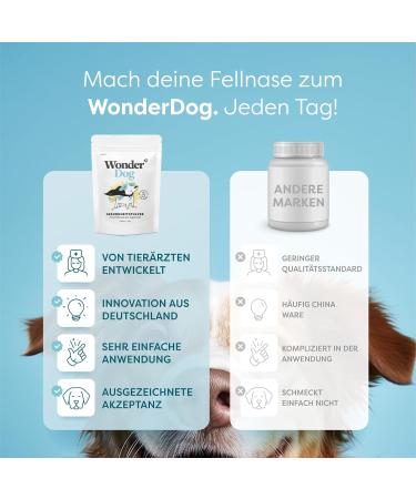 Dr. Sam Health Powder for Dogs - Plant-Based Nutritional Supplement for Joints Stress Skin & Fur - Natural All-Round Care - 45g - Buy Online on GoSupps.com