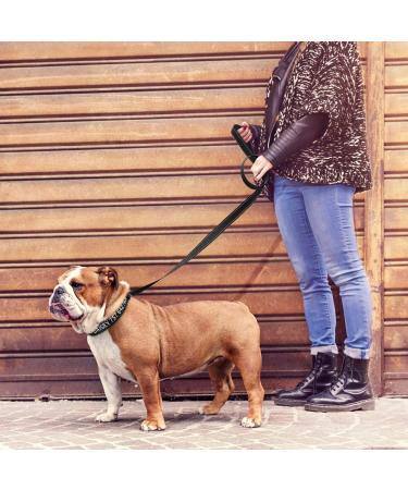 Personalized Reflective Dog Collar & 1.5m Leash Set - Tagme Black Medium Size | Durable & Stylish - Buy Online on GoSupps.com