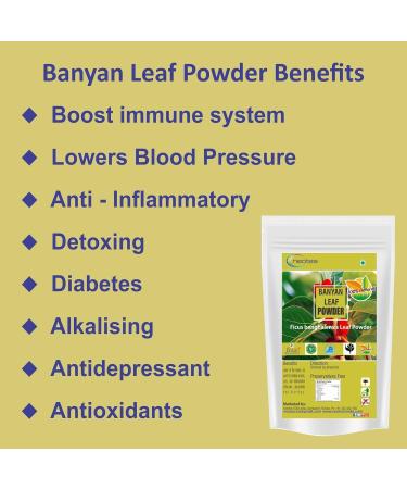 YANG Banyan Leaf Barh Alai Ficus Bengalensis Powder 500 G - Buy Online on GoSupps.com