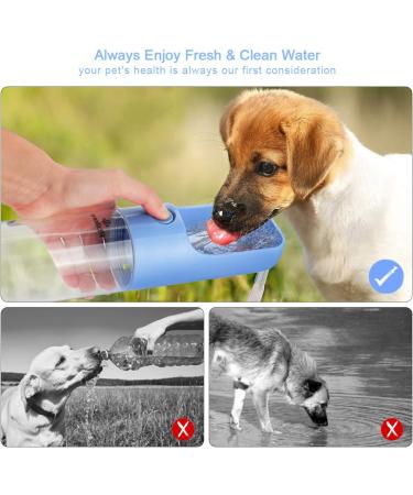 Philorn Dog Drinking Bottle 450ml | BPA-Free Leak-Proof Portable Pet Water Bottle for Dogs & Cats | Travel-Friendly Blue Design - Buy Online on GoSupps.com