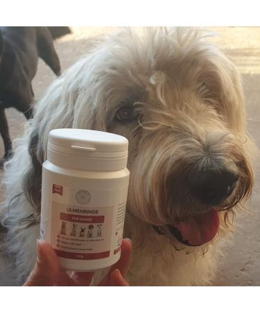 Premium Slippery Elm Bark for Dogs - Petgold 100g | Natural Dog Health Supplement - Buy Online on GoSupps.com