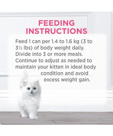 Fancy Feast Wet Kitten Food Variety Pack 2 Flavours - 85 g (12 Pack) - Buy Online on GoSupps.com